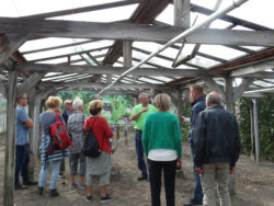 Rondleiding door de kassen van Welgelegen met Mooiste Landschaps Festival