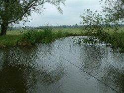 visplek