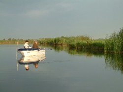 vissenboot