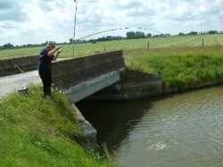 vissenbrug
