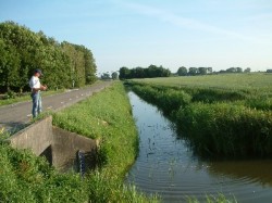 vissenbrug1