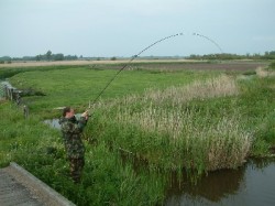 vissenkant