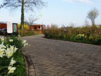 Camping Tuinderij Welgelegen weer open!