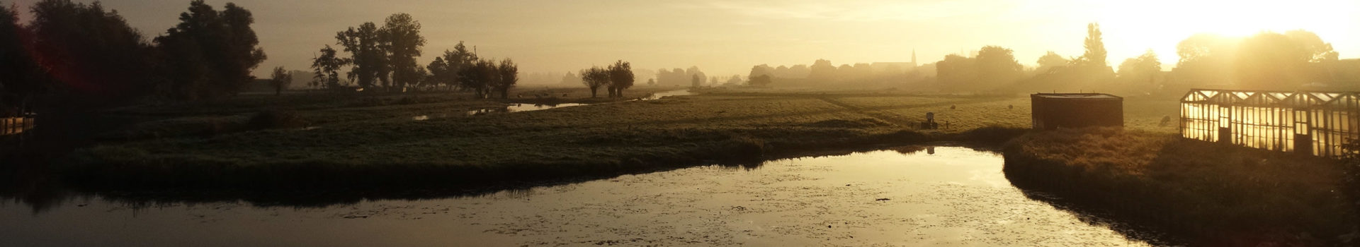 Uitzicht Camping Tuinderij Welgelegen