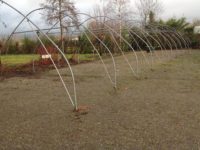 schapenstal op camping tuinderij welgelegen