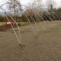 schapenstal op camping tuinderij welgelegen