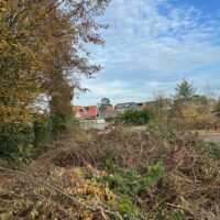 gesnoeide takken camping tuinderij welgelegen